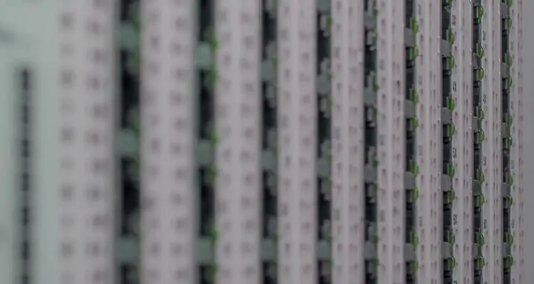 Com utilitzar cPanel en allotjament compartit