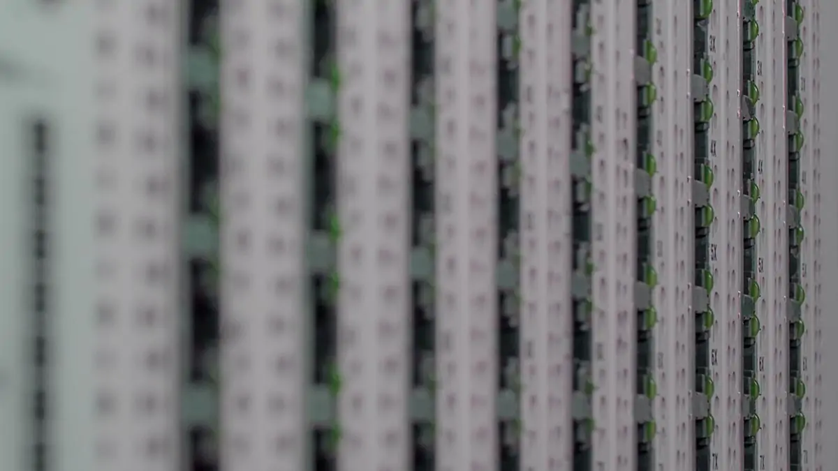 How to use cPanel on Shared hosting