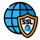 GeoTrust True Business ID Wildcard